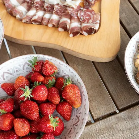 Virida, App Leopold Iii * Ivancna Gorica